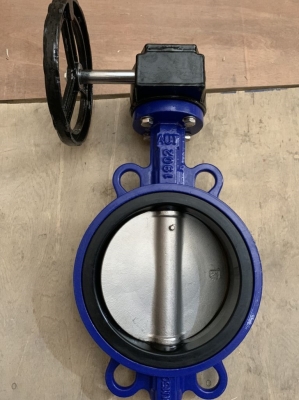Van bướm tay quay AUT DN100